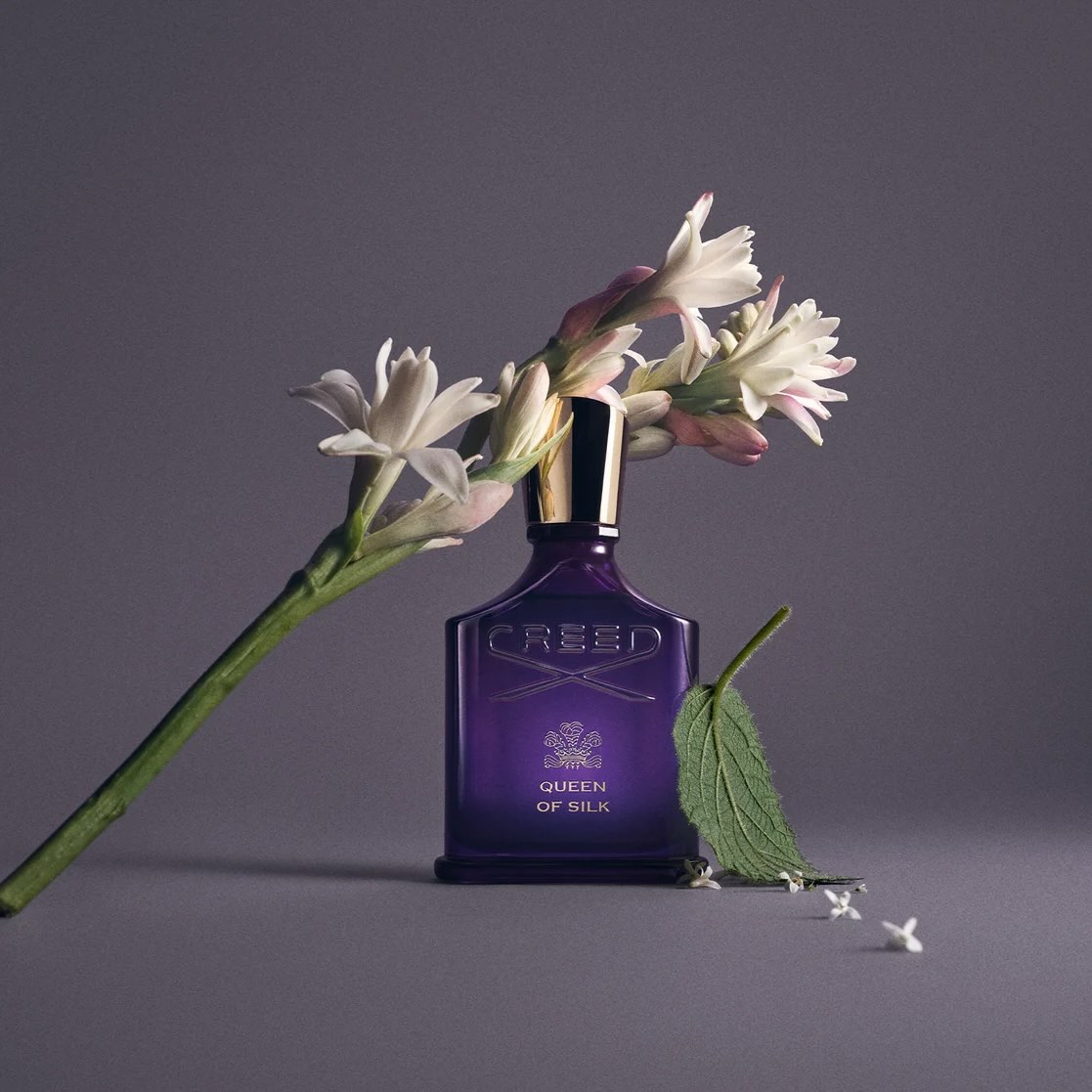 Queen of Silk by Creed